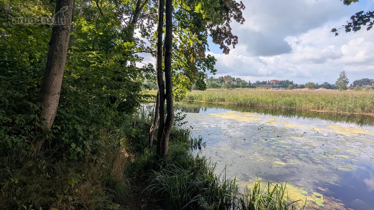 Parduodamas 0,62 ha rekreacinės paskirties - nuotraukos Nr. 5