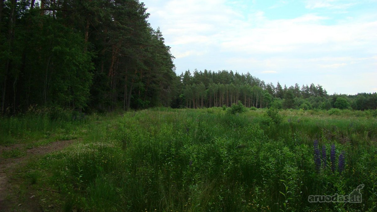 Parduodami 4 žemės ūkio paskirties sklypai - nuotraukos Nr. 11