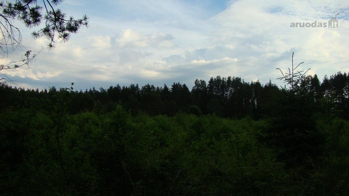 Parduodami 4 žemės ūkio paskirties sklypai - nuotraukos Nr. 13