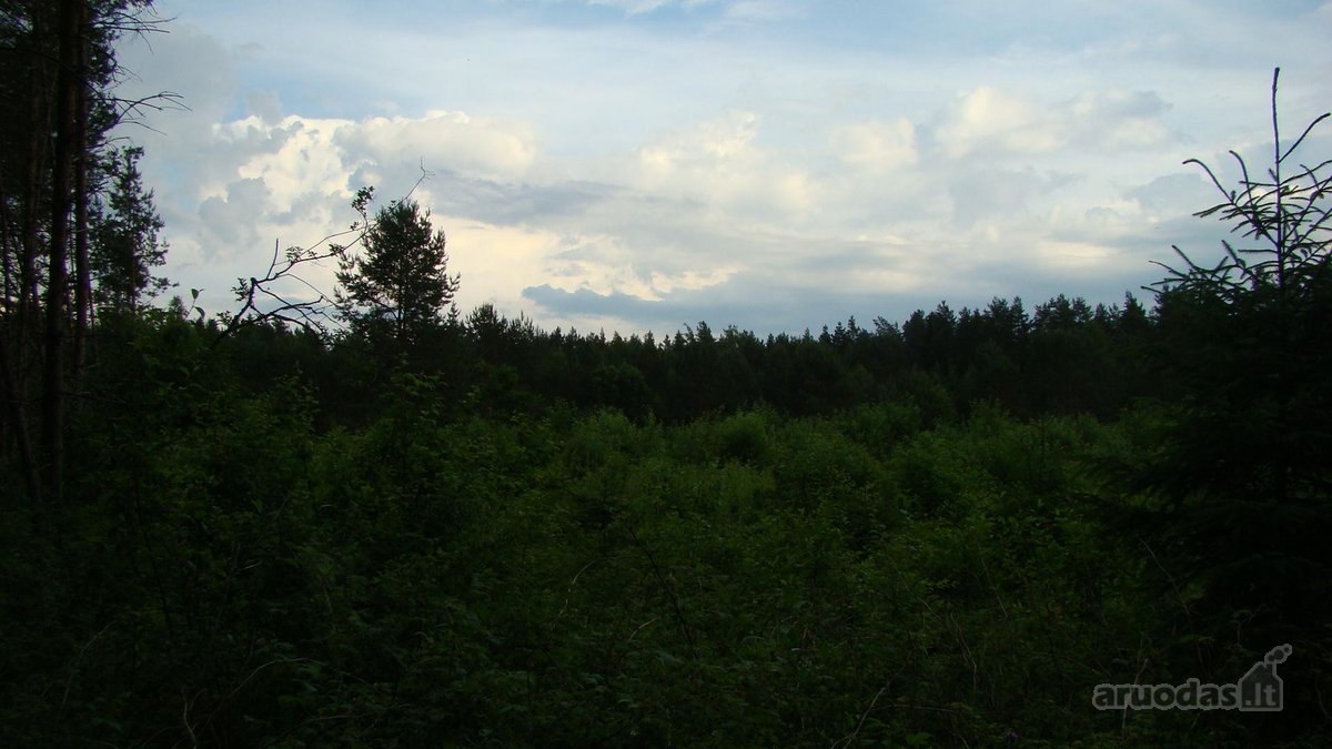 Parduodami 4 žemės ūkio paskirties sklypai - nuotraukos Nr. 14