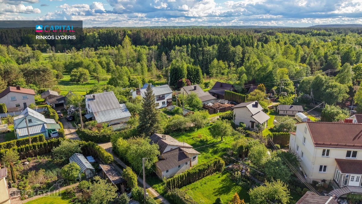 Gamtos Apsuptis, Tapelių Ežeras Ir Galimybė - nuotraukos Nr. 18