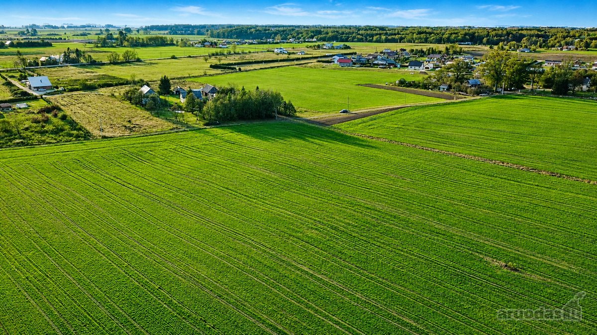 Didelis vientisas investicinis sklypas - nuotraukos Nr. 13