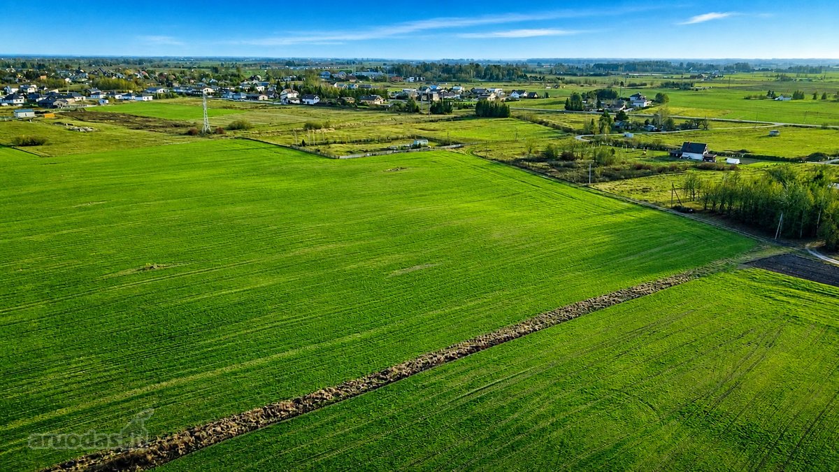 Didelis vientisas investicinis sklypas - nuotraukos Nr. 9