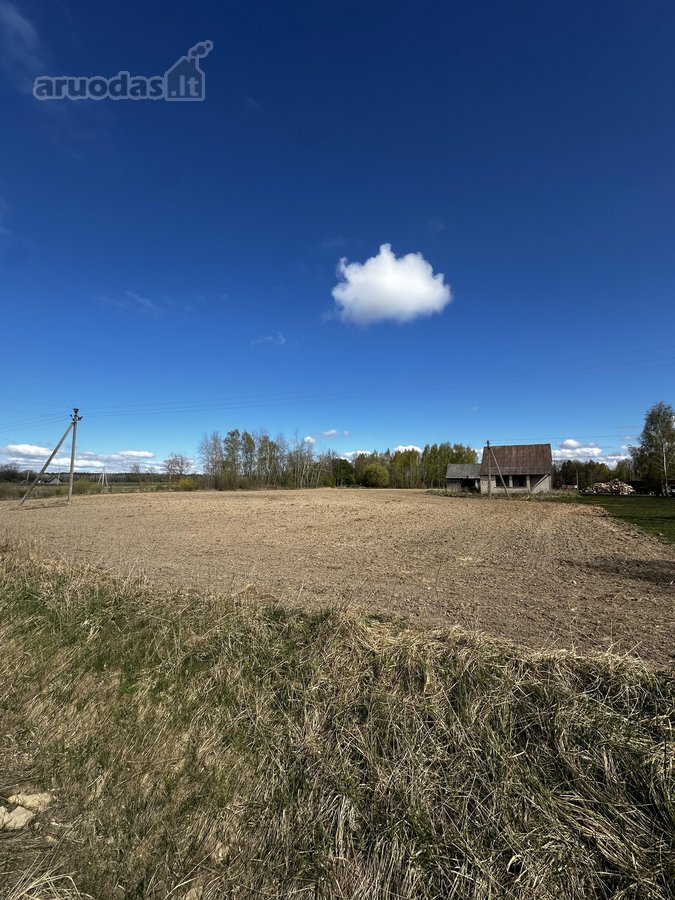 Parduodamas mūrinis namas su 1,3 ha sklypu - nuotraukos Nr. 3