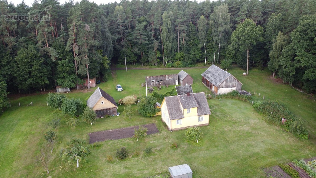 Parduodama Ramioje, Gražioje,gamtos Apsuptyje - nuotraukos Nr. 6