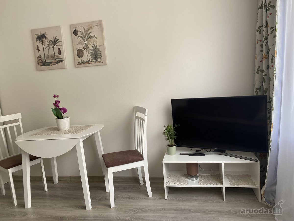 Ieškome tvarkingos nuomininkės, jaukiam butui - nuotraukos Nr. 6