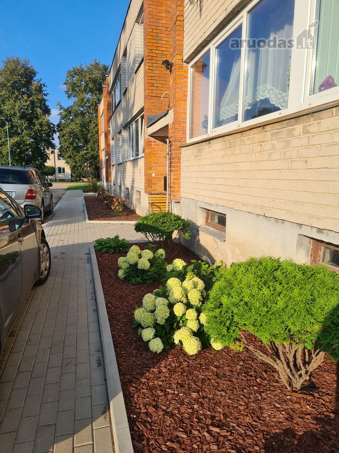 Parduodamas jaukus, saulėtas butas kątik po - nuotraukos Nr. 11