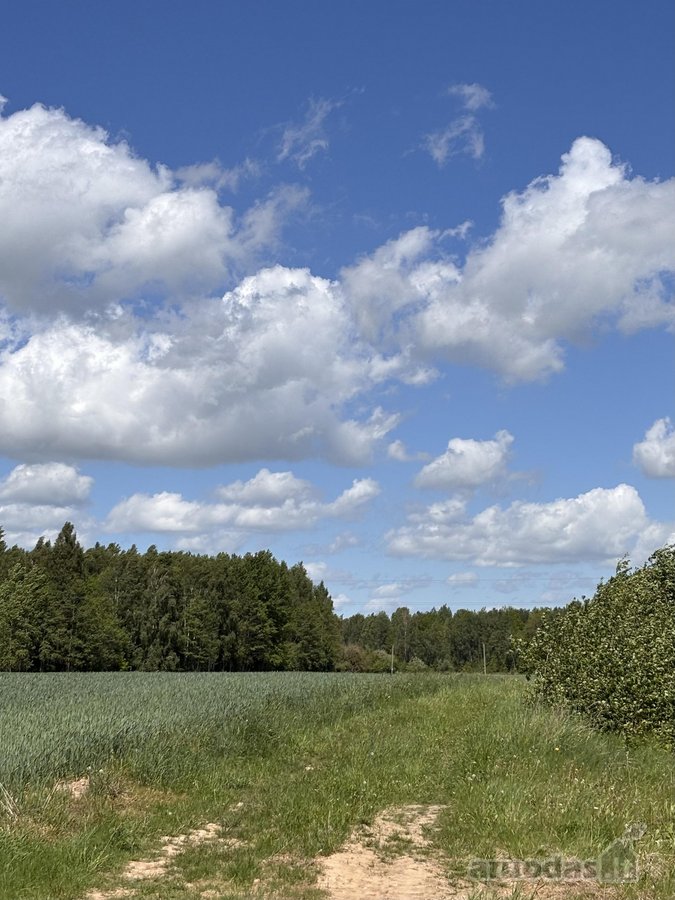Parduodama sodyba ir žemės ūkio paskirties - nuotraukos Nr. 7