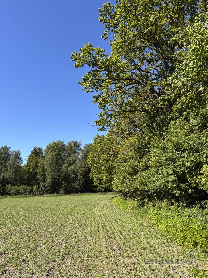 Parduodama sodyba ir žemės ūkio paskirties - nuotraukos Nr. 16