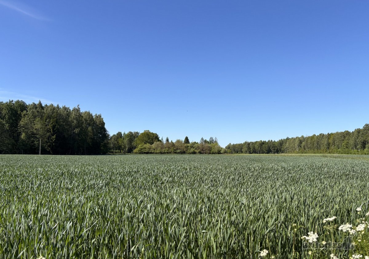 Parduodama sodyba ir žemės ūkio paskirties - nuotraukos Nr. 17