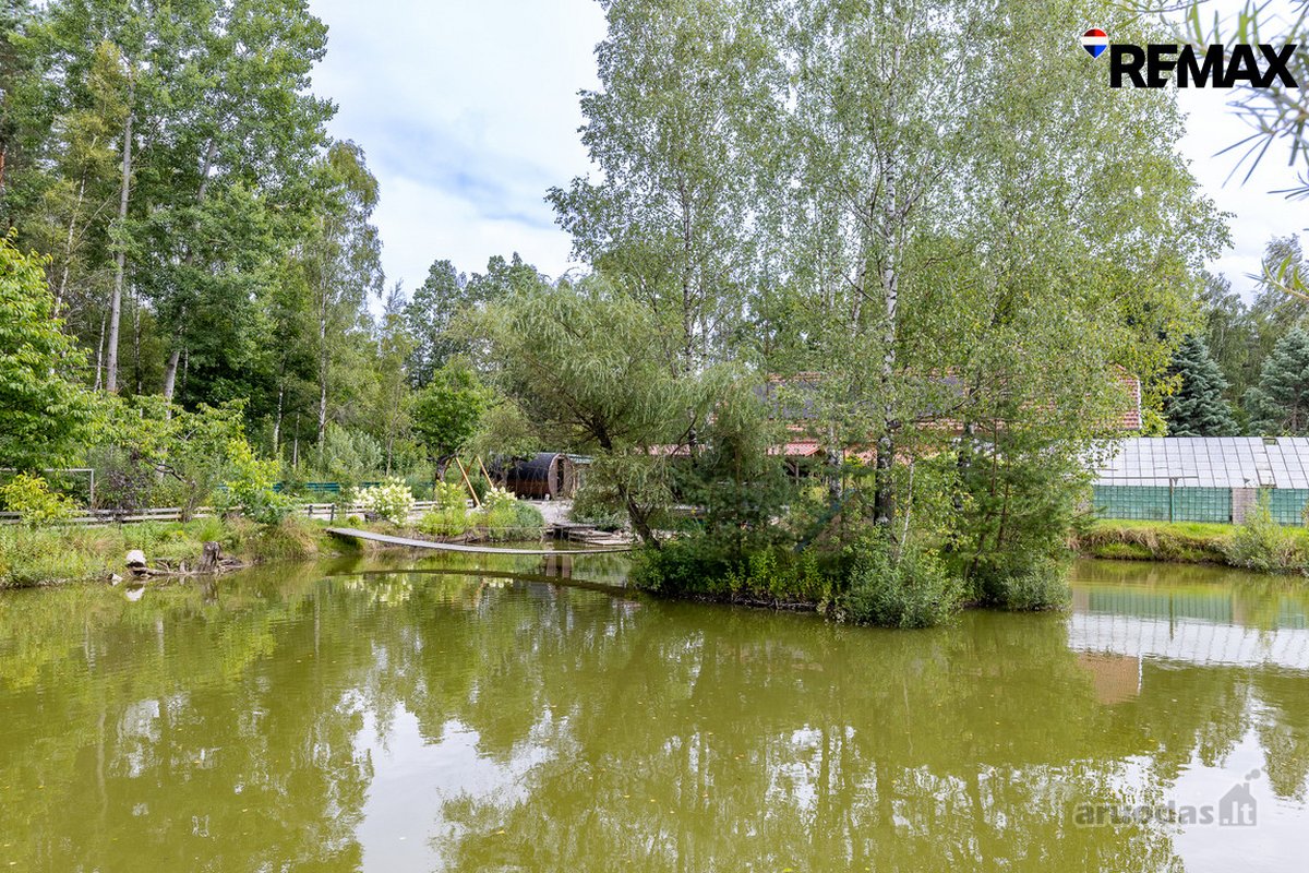 Ramybė Ir Gamtos Apsuptis – Jūsų Naujuose - nuotraukos Nr. 14