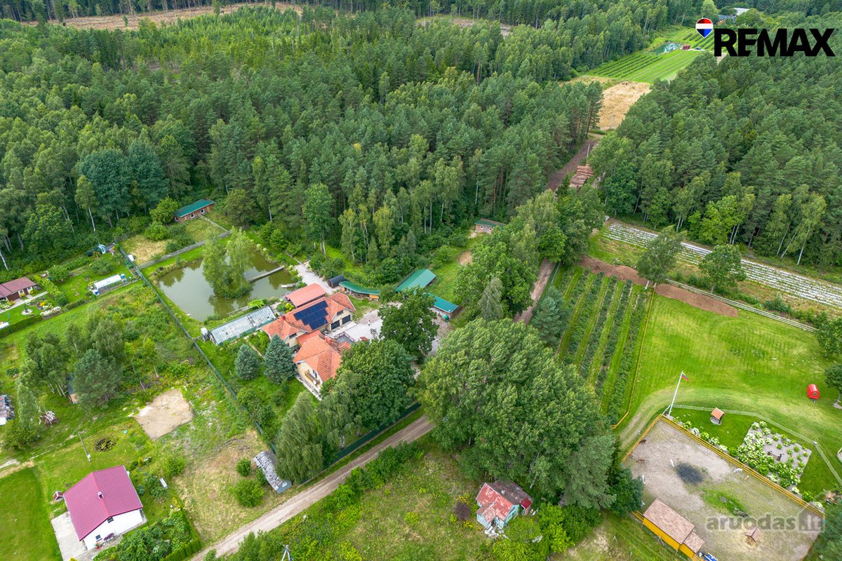 Ramybė Ir Gamtos Apsuptis – Jūsų Naujuose - nuotraukos Nr. 29
