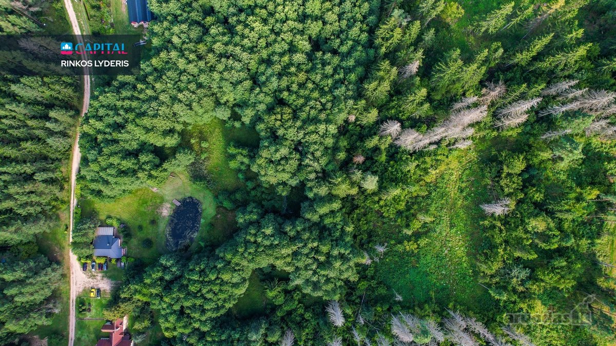 Jauki Sodyba Išpuoselėtos Gamtos Apsuptyje - nuotraukos Nr. 45