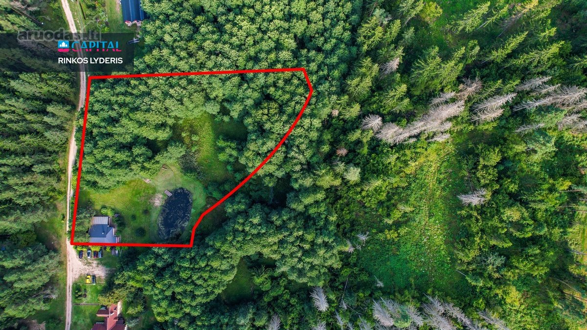 Jauki Sodyba Išpuoselėtos Gamtos Apsuptyje - nuotraukos Nr. 46