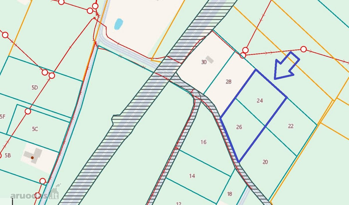 Parduodami 2 erdvūs (15,96a ir 16,60a) namų - nuotraukos Nr. 3