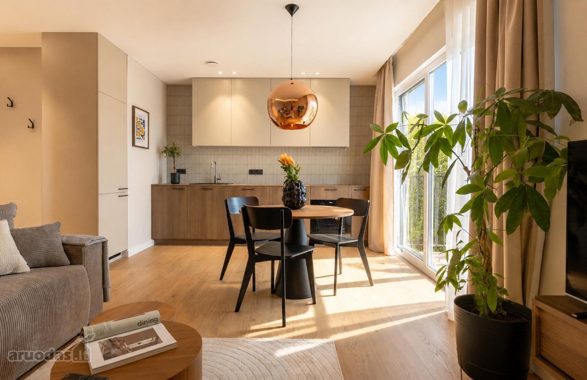 Išnuomojamas moderniai ir šiuolaikiškai - nuotraukos Nr. 32