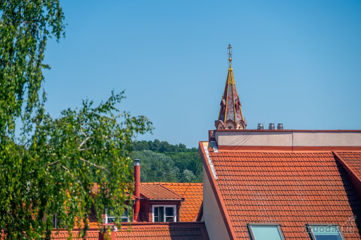 3 Kambarių Buto Nuoma Vilniaus Senamiestyje - nuotraukos Nr. 16