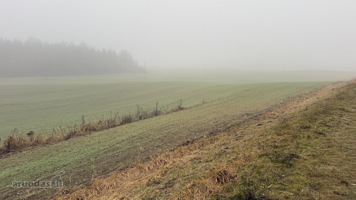 Parduodama žemės ūkio paskirties skypo dalis, - nuotraukos Nr. 7
