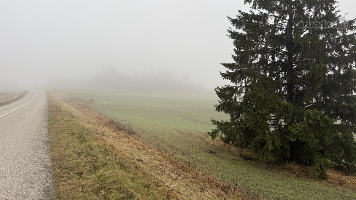Parduodama žemės ūkio paskirties skypo dalis, - nuotraukos Nr. 9