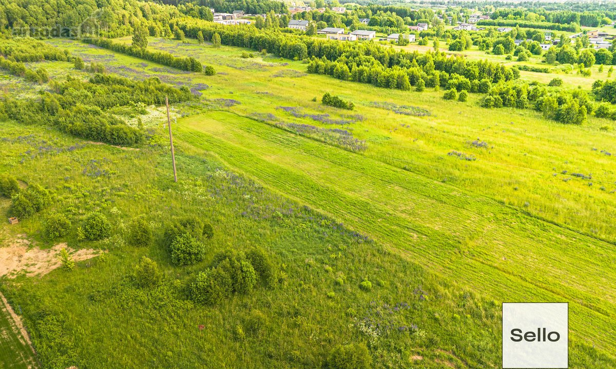  – Nt ekspertai be procentų - nuotraukos Nr. 11