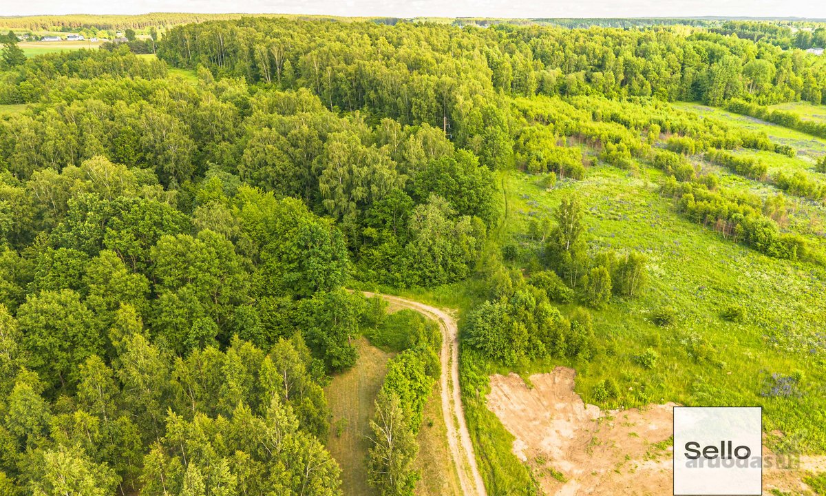  – Nt ekspertai be procentų - nuotraukos Nr. 14