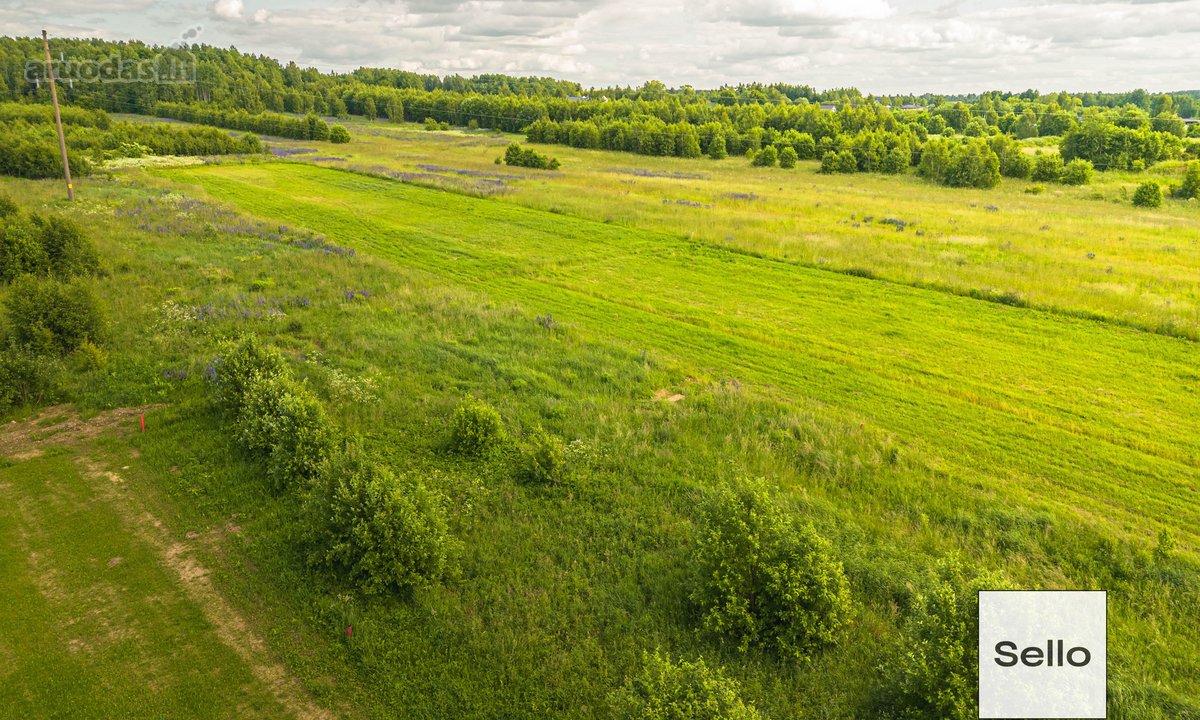  – Nt ekspertai be procentų - nuotraukos Nr. 17
