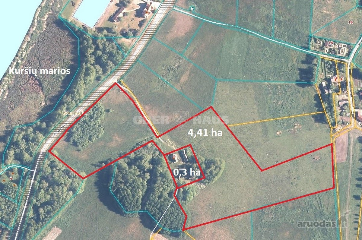 Unikali sodyba netoli Kuršių marių kranto – - nuotraukos Nr. 2