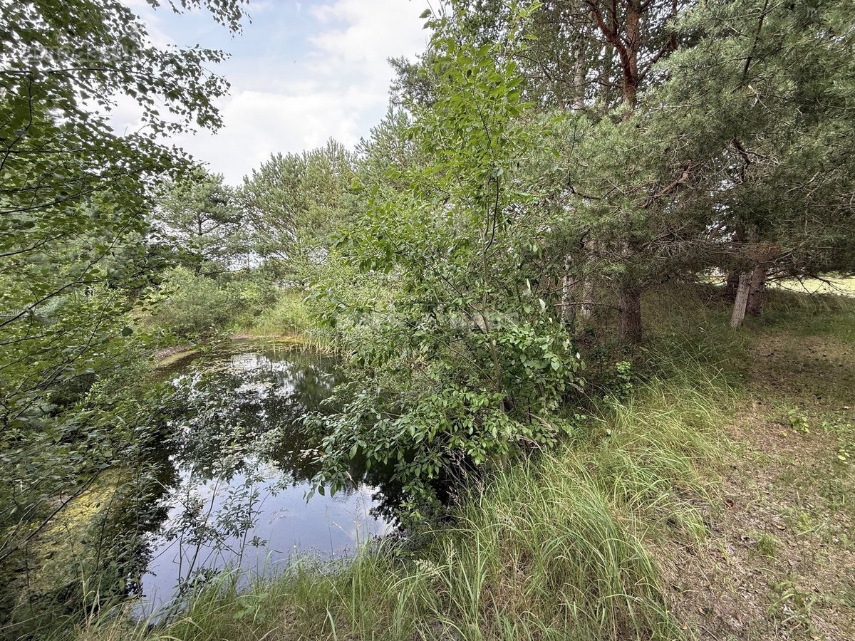 Pasiūlymas ieškantiems sodybos šalia Šiaulių - nuotraukos Nr. 31