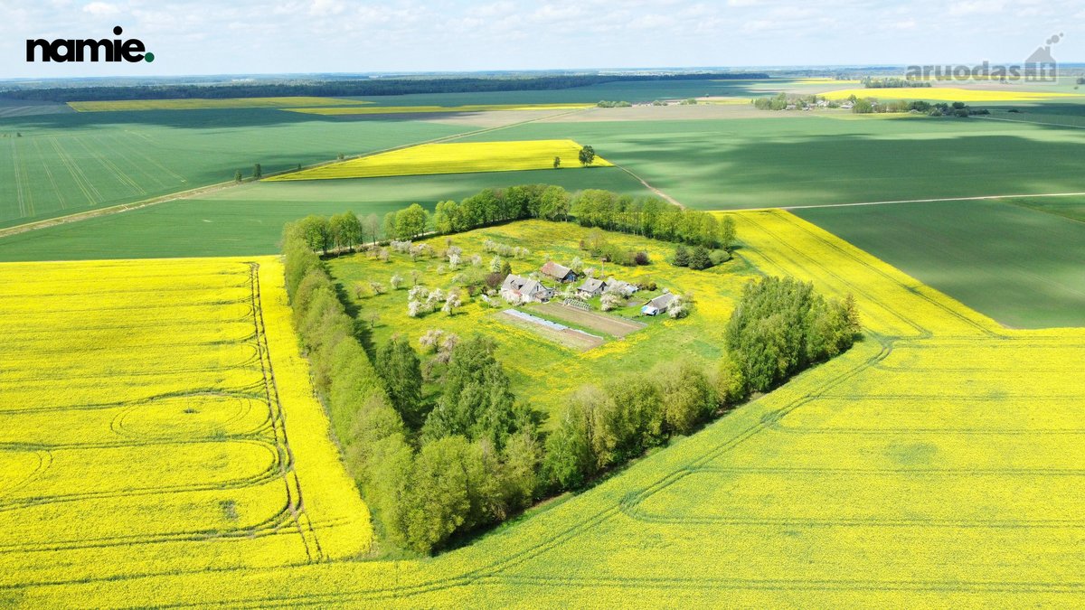 Parduodama išskirtinė sodyba vienkiemyje - nuotraukos Nr. 4
