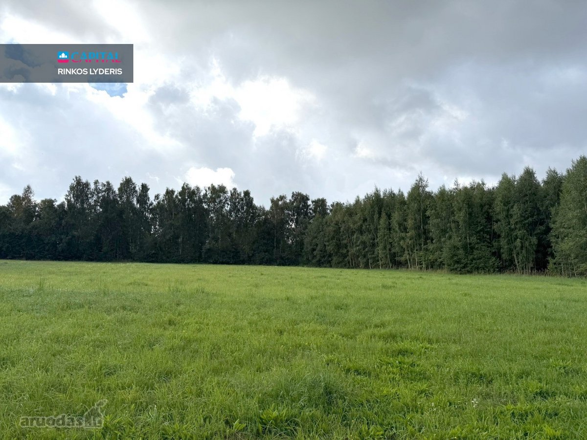 71,61 A Namų Valdos Sklypas Samanynėje – - nuotraukos Nr. 3