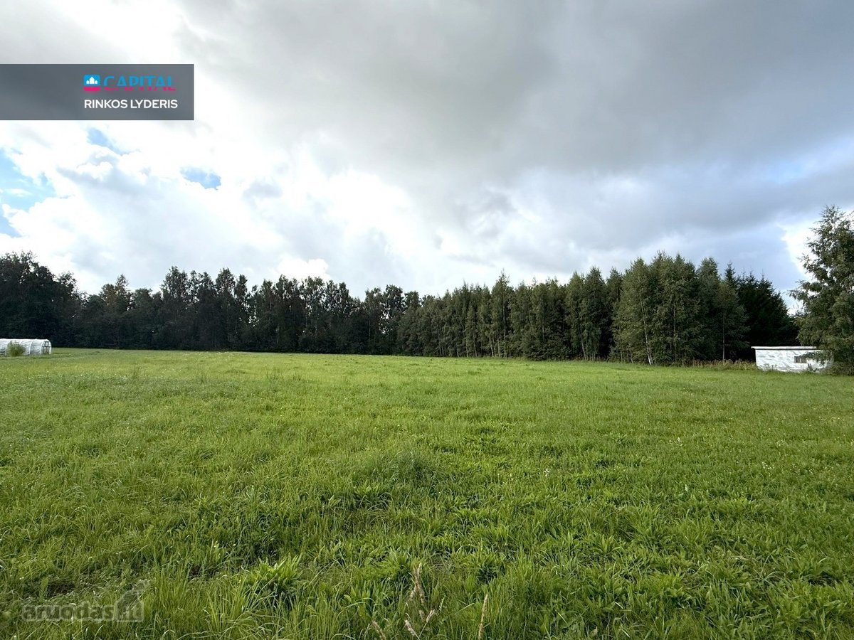 71,61 A Namų Valdos Sklypas Samanynėje – - nuotraukos Nr. 4