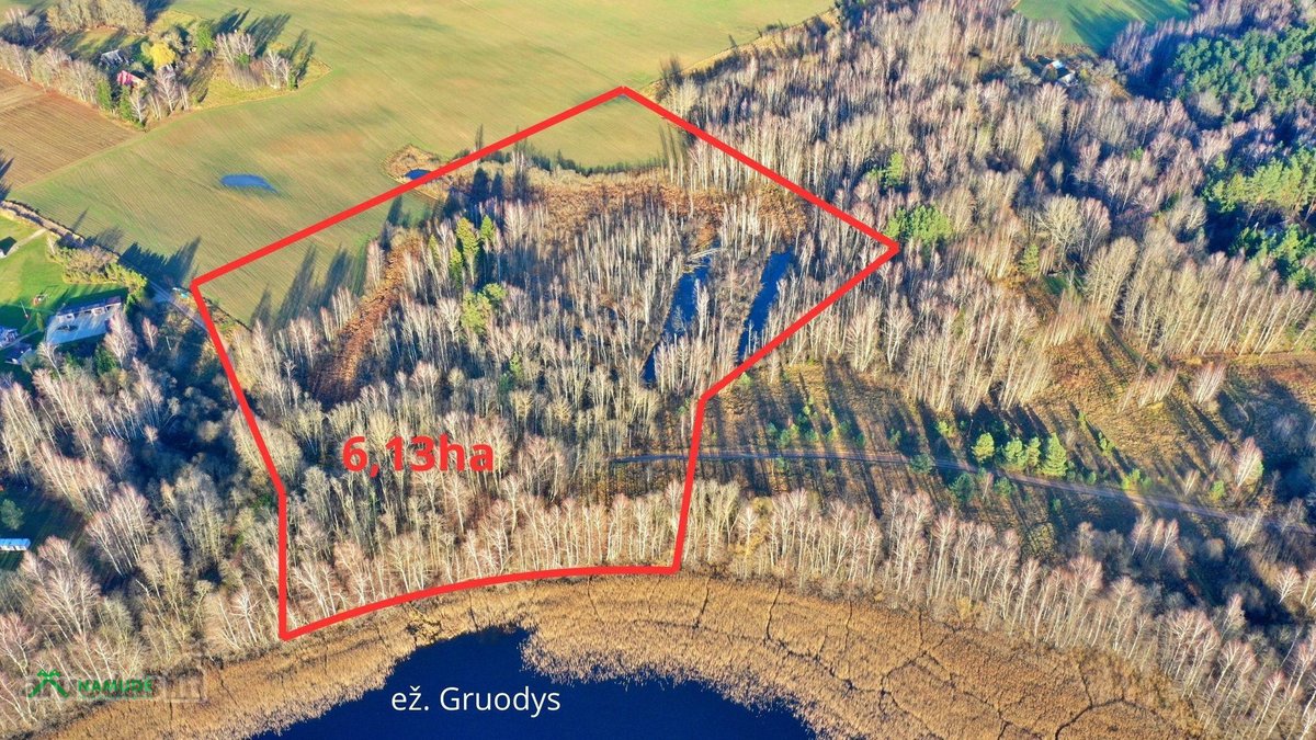 Parduodamas erdvus 6,13 ha žemės sklypas prie - nuotraukos Nr. 4