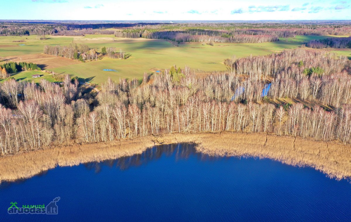 Parduodamas erdvus 6,13 ha žemės sklypas prie - nuotraukos Nr. 5