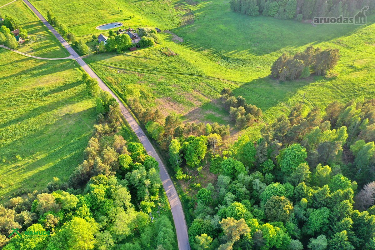 Šis erdvus 65 arų sklypas įsikūręs Aidiečių - nuotraukos Nr. 3