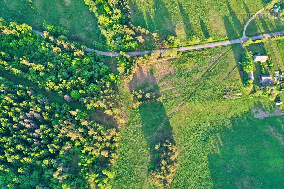 Šis erdvus 65 arų sklypas įsikūręs Aidiečių - nuotraukos Nr. 4