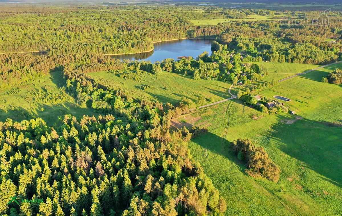 Šis erdvus 65 arų sklypas įsikūręs Aidiečių - nuotraukos Nr. 5