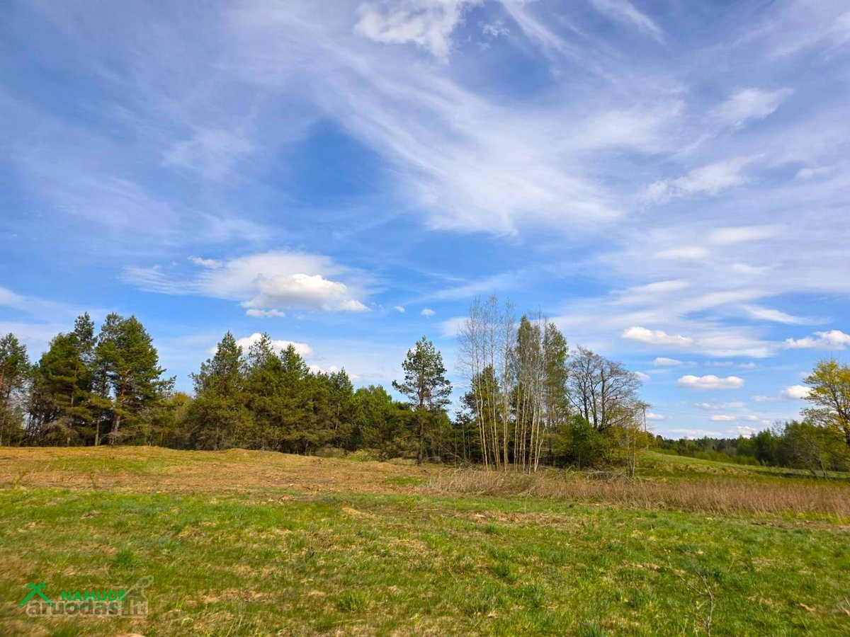 Šis erdvus 65 arų sklypas įsikūręs Aidiečių - nuotraukos Nr. 6