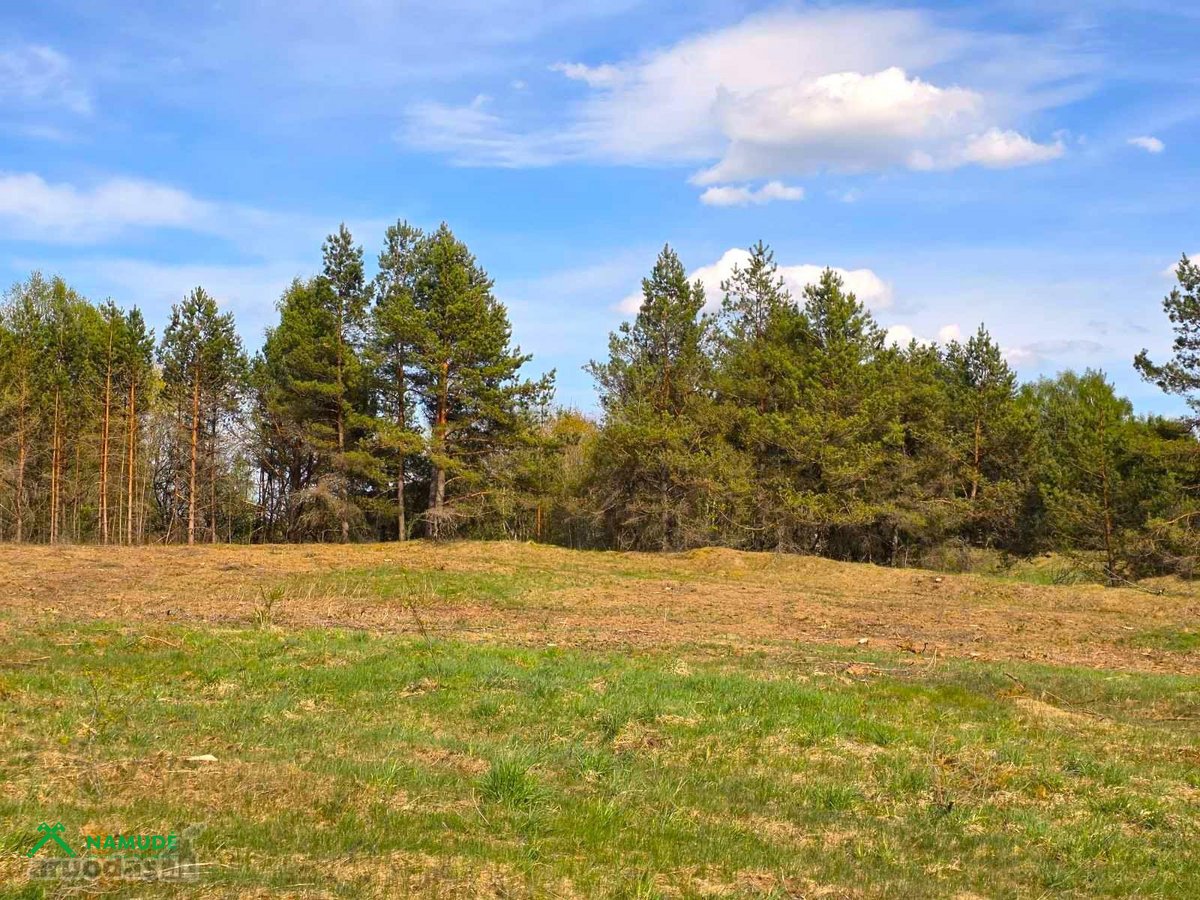 Šis erdvus 65 arų sklypas įsikūręs Aidiečių - nuotraukos Nr. 8