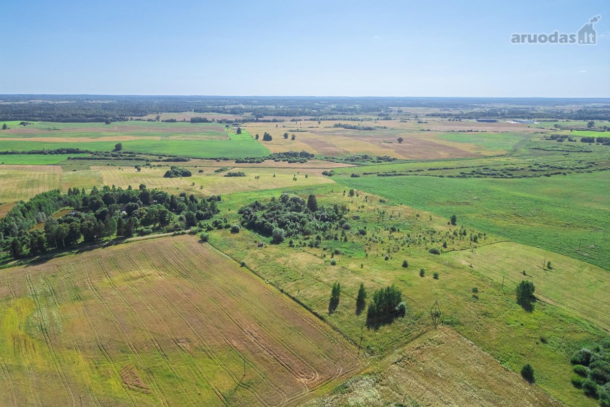 Parduodamas 1,10 Ha Sklypas Su Patvirtintu - nuotraukos Nr. 6