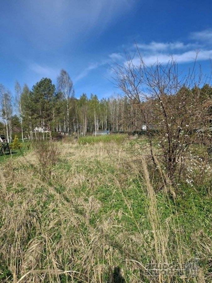 6 a sklypas su nameliu vos 6 km iki jūros – - nuotraukos Nr. 3