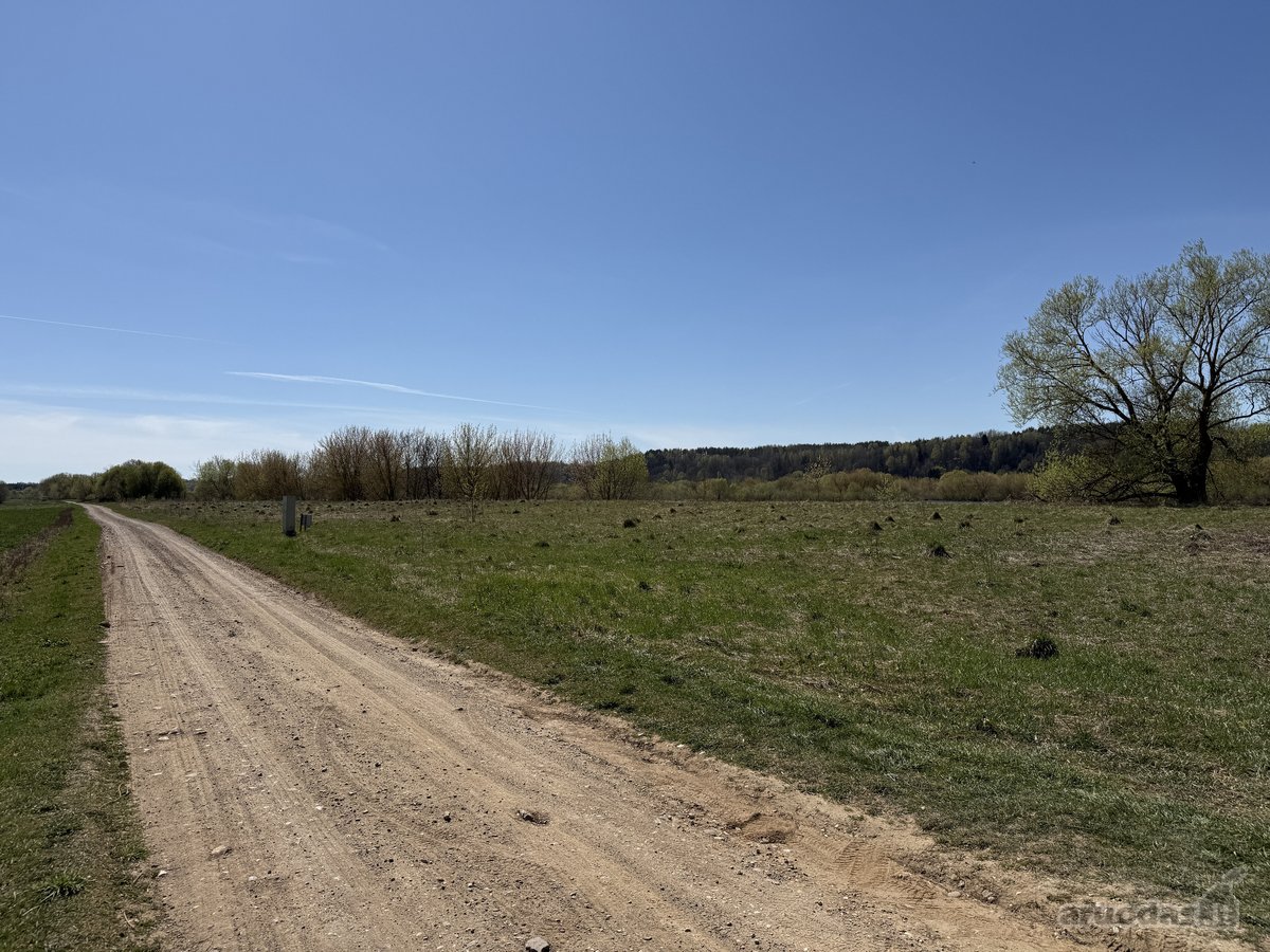Parduodamas 99,62 arų žemės ūkio paskirties - nuotraukos Nr. 5