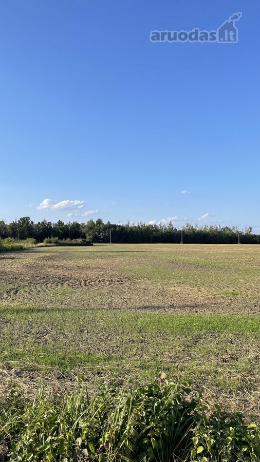 Parduodamas 6,18 ha (618 a) žemės ūkio - nuotraukos Nr. 4
