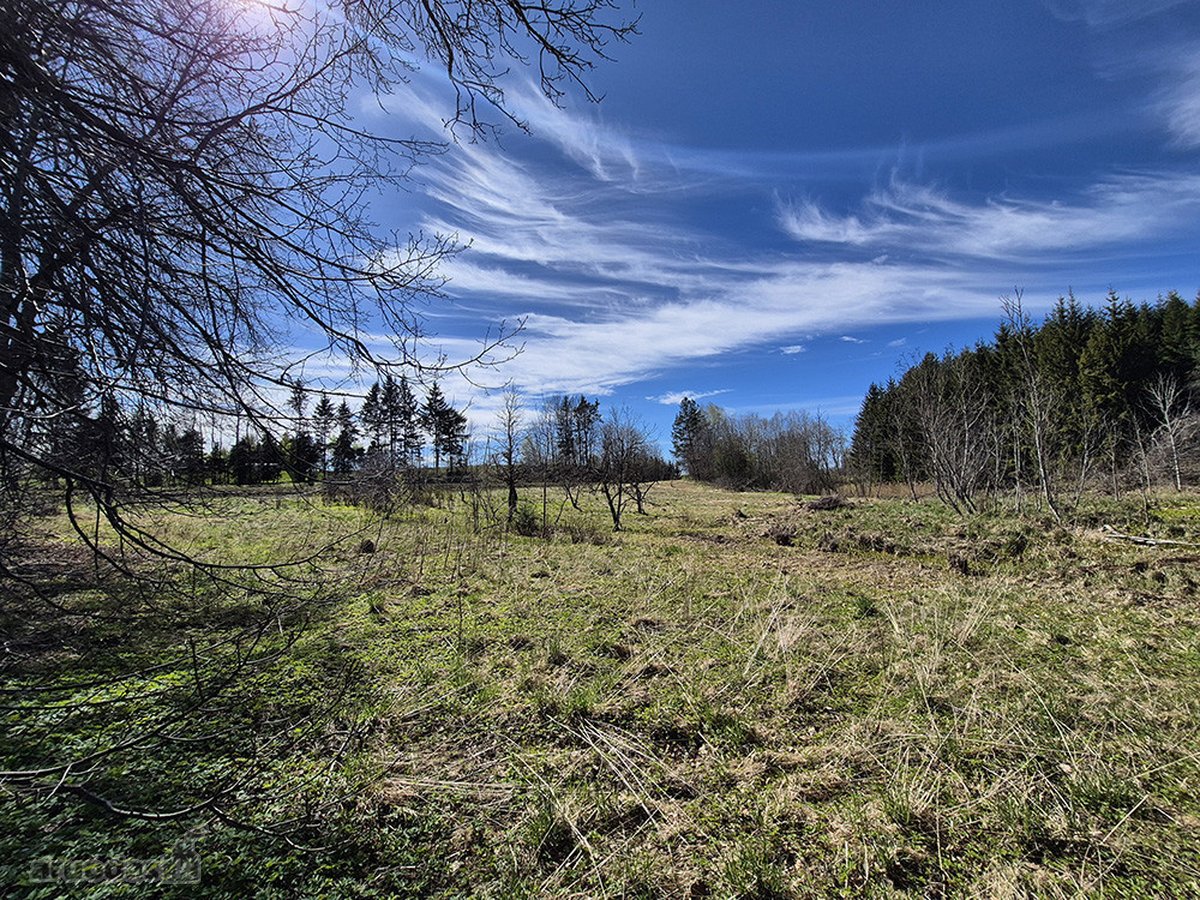 Puikus Pasiūlymas Ieškantiems Pigaus Ir - nuotraukos Nr. 12