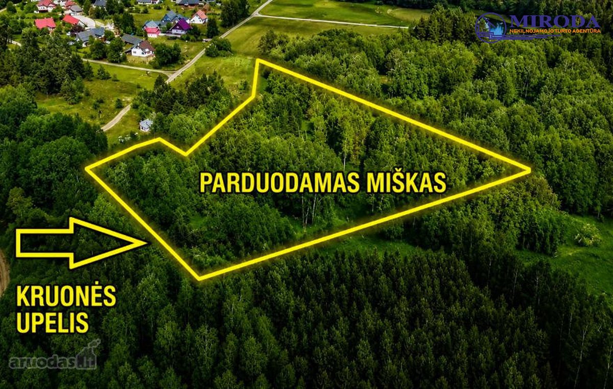 Upelis, miškas, asfaltas, šalia komunikacijos. - nuotraukos Nr. 2