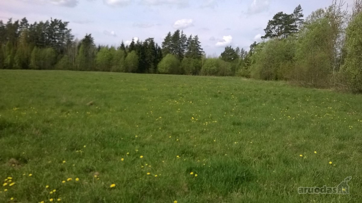 Parduodami miško apsuptyje, netoli Nemuno, - nuotraukos Nr. 4