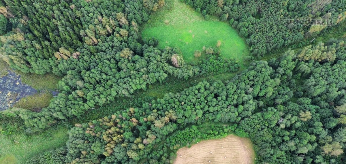 Parduodamas 2 Ha Žemės Sklypas Su Pakrante - nuotraukos Nr. 2