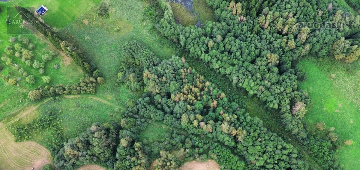 Parduodamas 2 Ha Žemės Sklypas Su Pakrante - nuotraukos Nr. 3