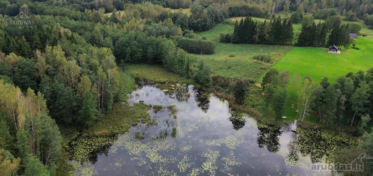 Parduodamas 2 Ha Žemės Sklypas Su Pakrante - nuotraukos Nr. 4