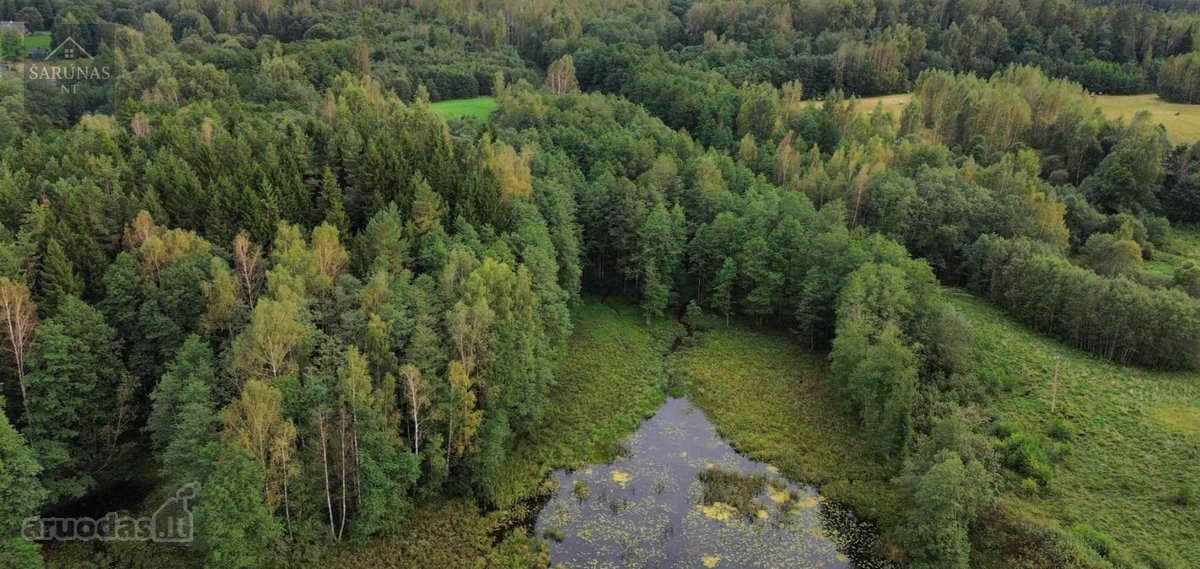 Parduodamas 2 Ha Žemės Sklypas Su Pakrante - nuotraukos Nr. 5