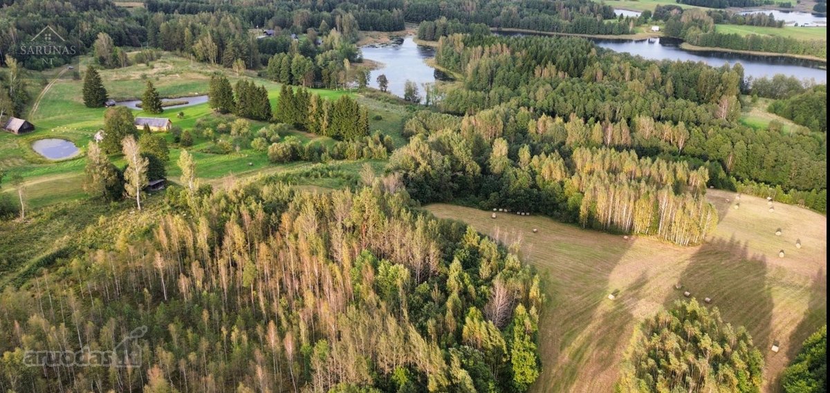 Parduodamas 2 Ha Žemės Sklypas Su Pakrante - nuotraukos Nr. 8